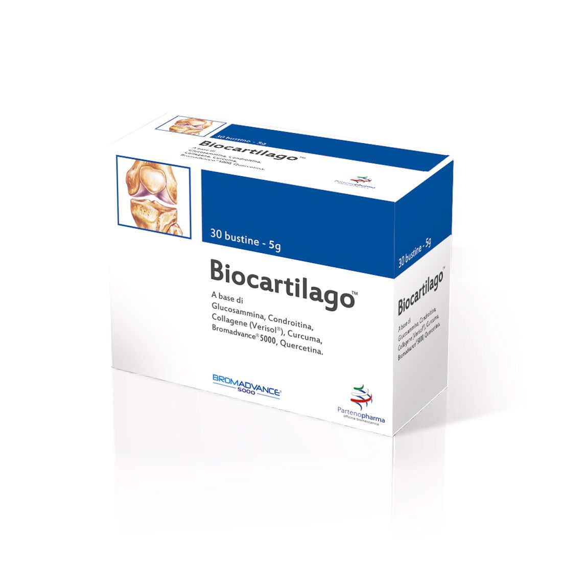 Biocartilago